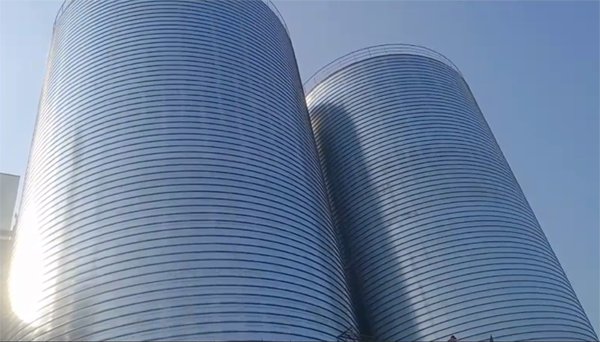 新安2座混凝土高架卷板仓